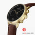 PI42GOLEBRBL &Pioneer black gold men's watch with brown leather strap